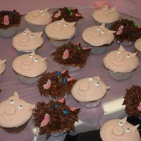 Del Mar Pines School logo