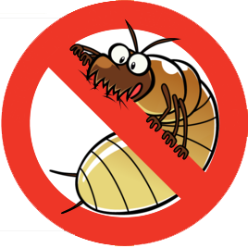 Richard L Stone Termite Control logo